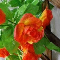 uploads/erp/collection/images/Home Garden/CongDing/XU0611584/img_b/XU0611584_img_b_4